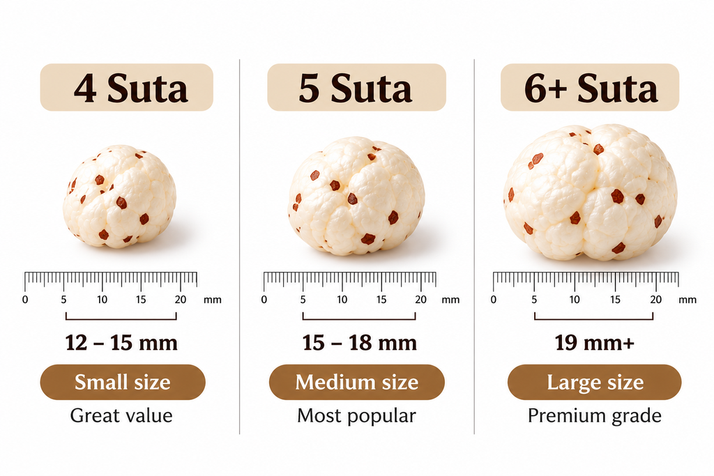 Loose Makhana 1KG