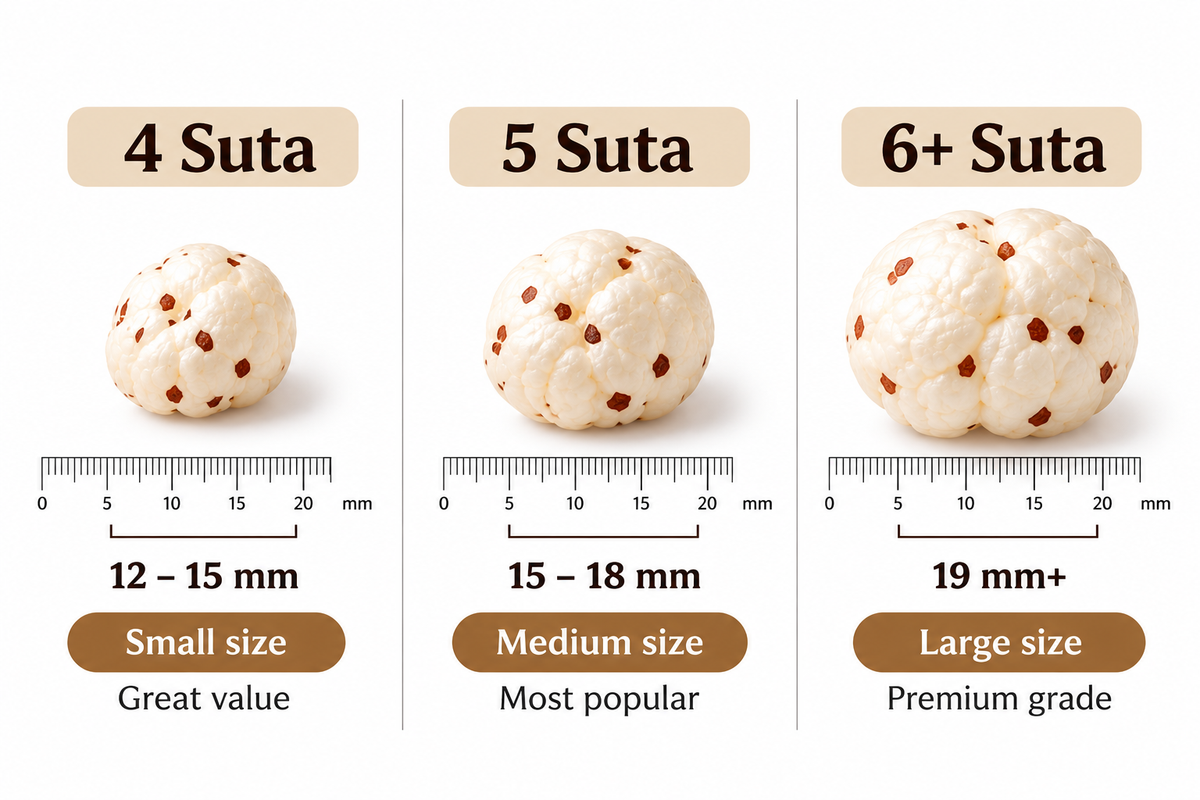 Loose Makhana 1KG